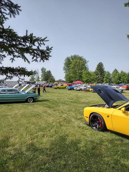 IMG_20230617_103647396_HDR.jpg