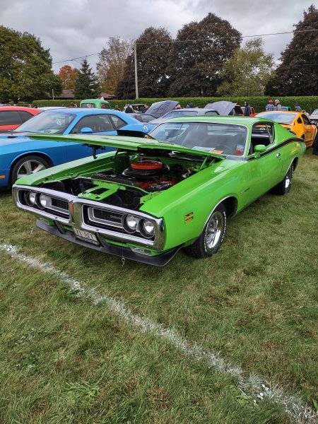 IMG_20231015_110248465_HDR.jpg