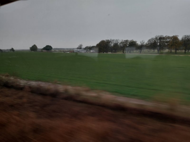 IMG_20241118_093728816_HDR.jpg