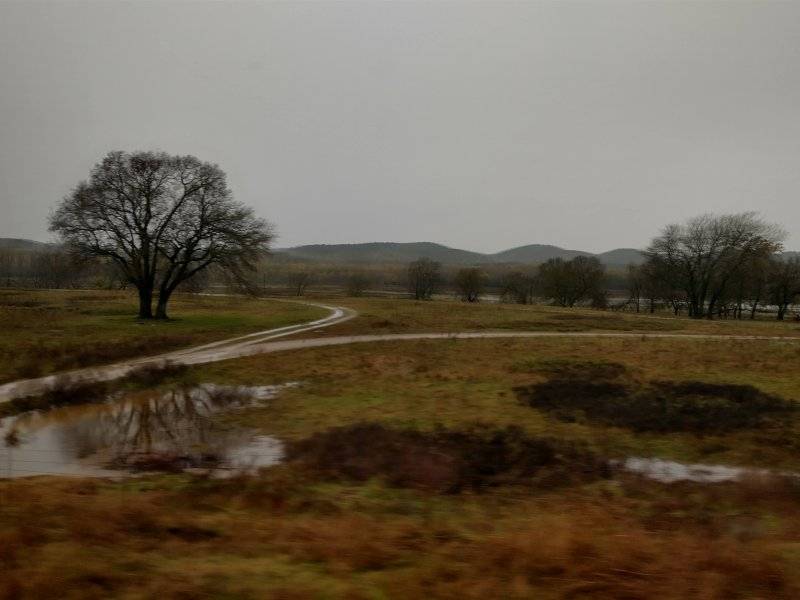 IMG_20241118_095229664_HDR.jpg