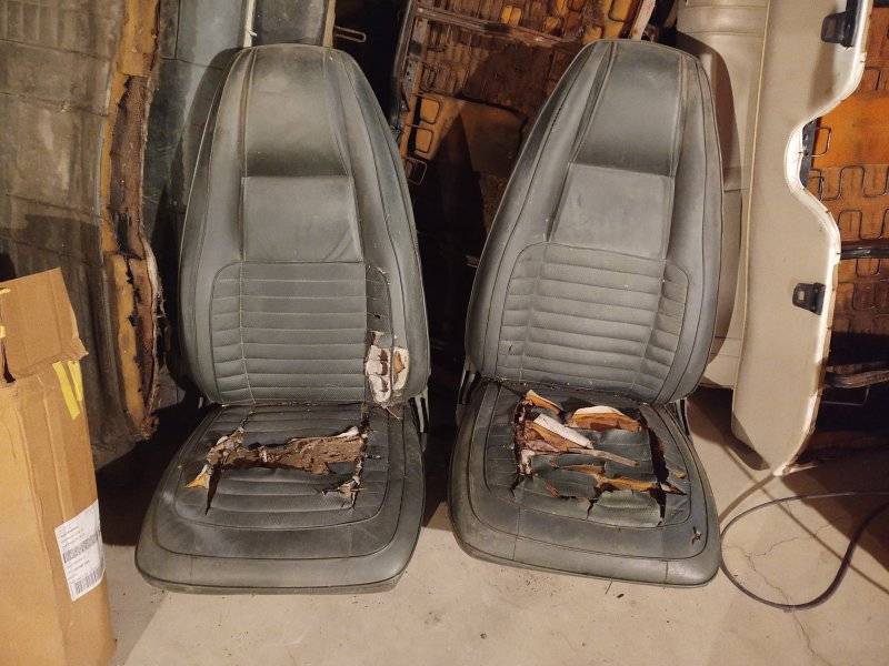 IMG_20241229_101731913 (1).jpg