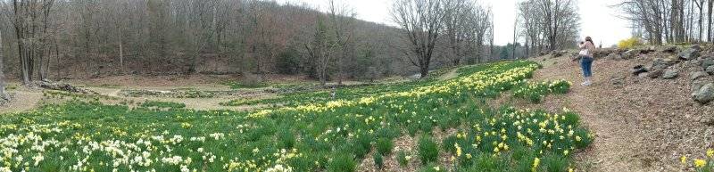 IMG_20250419_115347.jpg