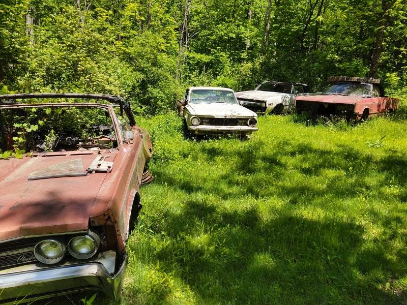 IMG_20250526_132638690_HDR.jpg
