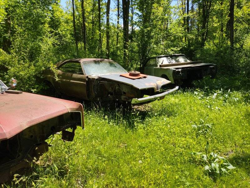 IMG_20250526_132658796_HDR.jpg