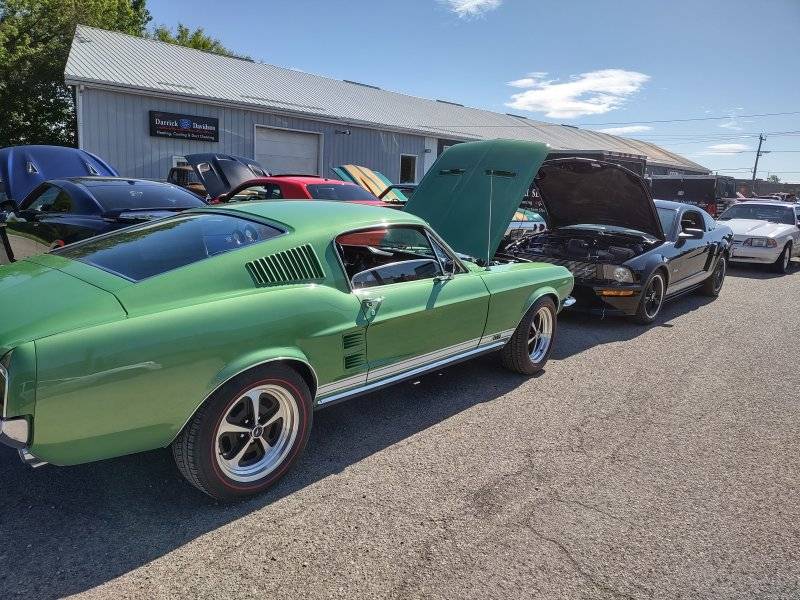 IMG_20250601_100346044_HDR.jpg