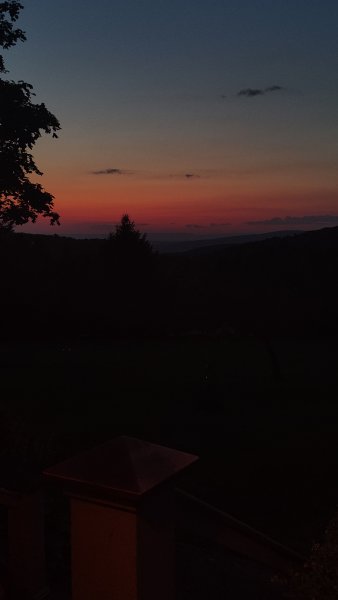 IMG_20250703_211354331.jpg