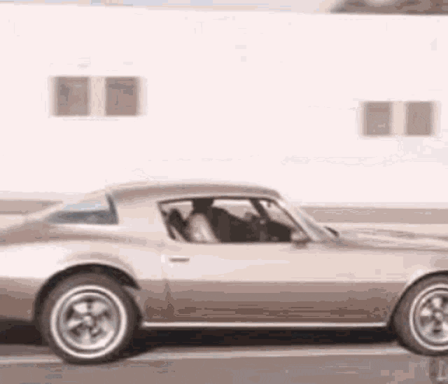 IMG_20250713_132257.gif
