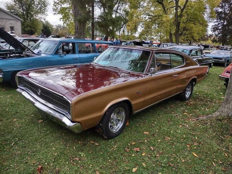 IMG_20251013_102640351_HDR.jpg