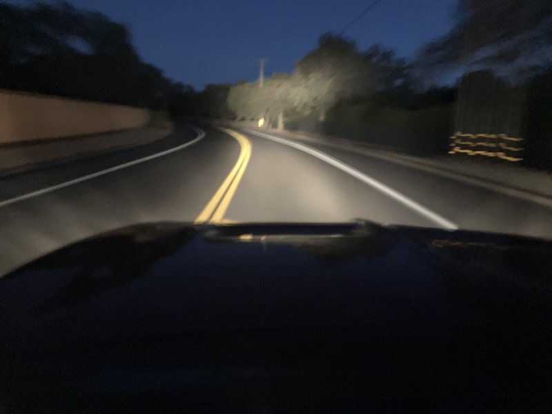 IMG_2295.jpeg