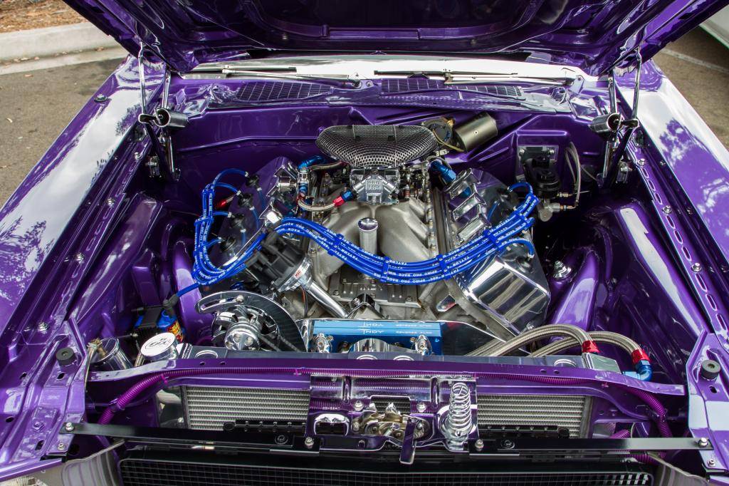 IMG_2324_edited-1.jpg