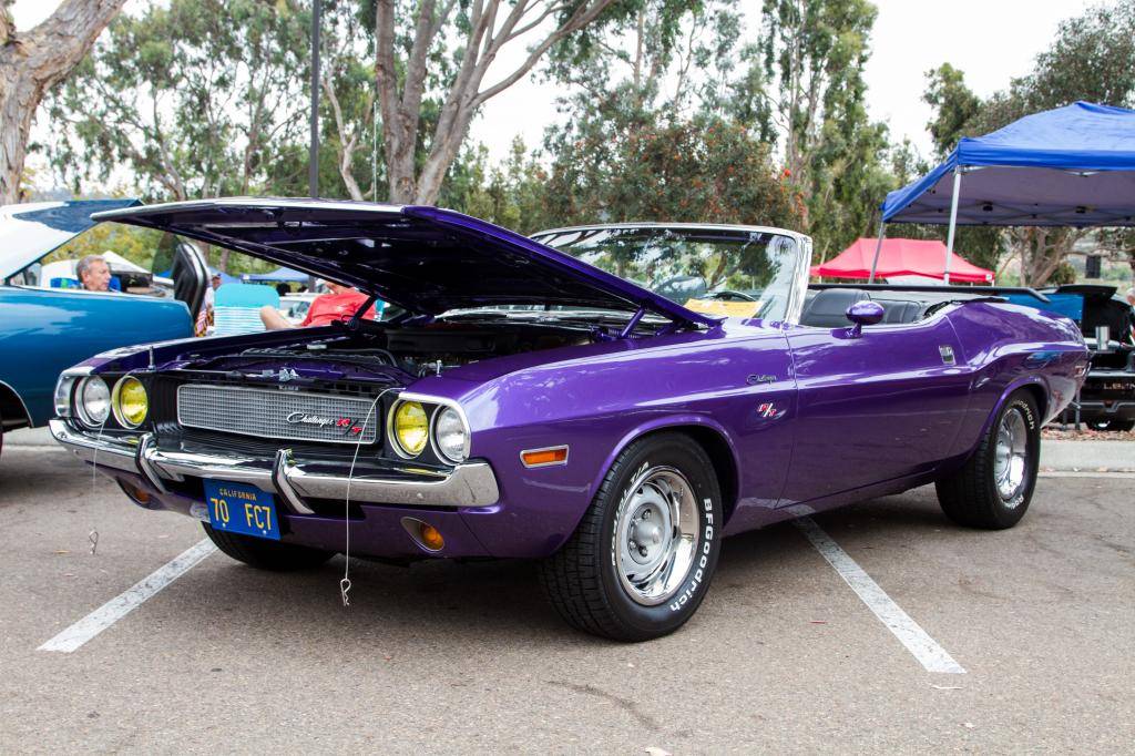 IMG_2348_edited-1.jpg