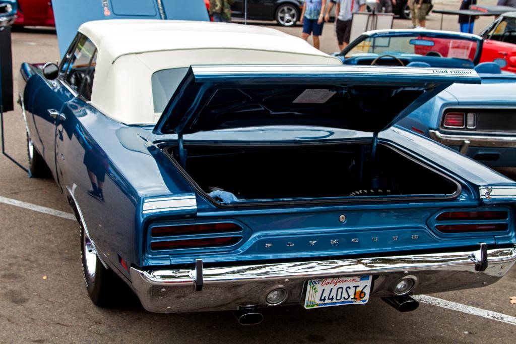IMG_2354_edited-1-1.jpg