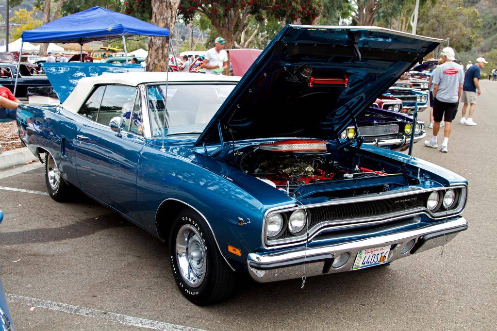 IMG_2356_edited-1-1.jpg