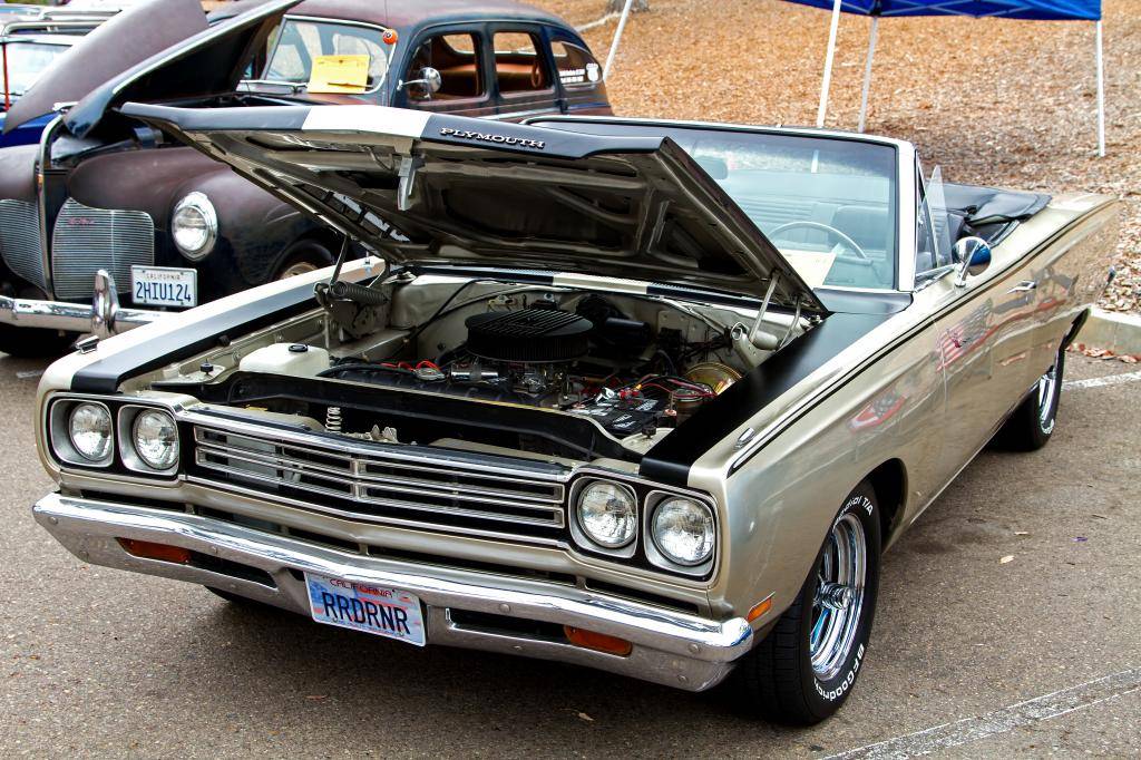 IMG_2358_edited-1-1.jpg