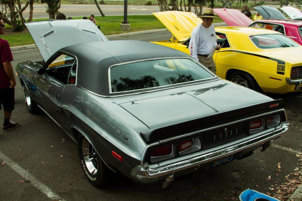 IMG_2501_edited-1.jpg