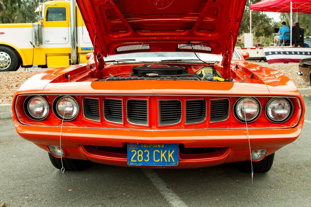 IMG_2524_edited-1.jpg