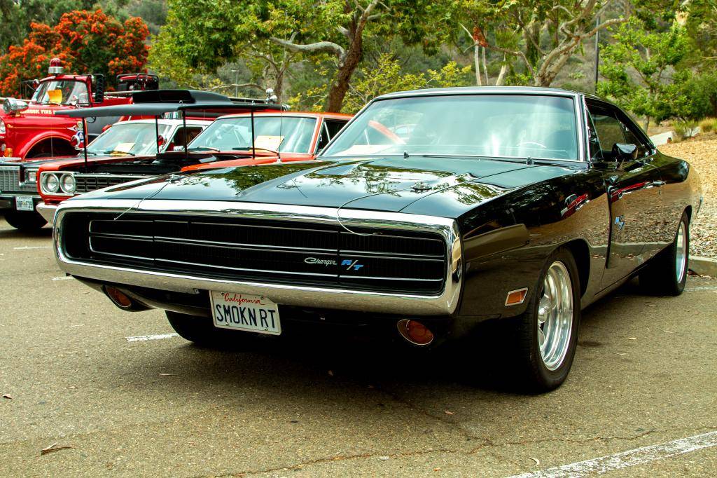 IMG_2583_edited-1-1.jpg