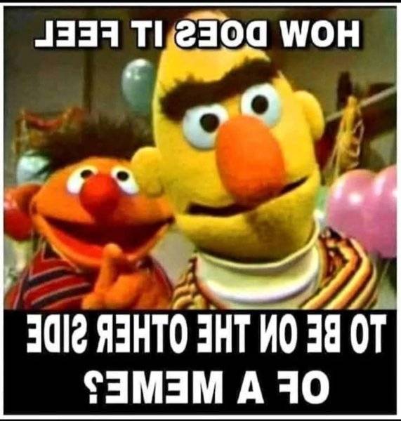 IMG_2718.jpeg