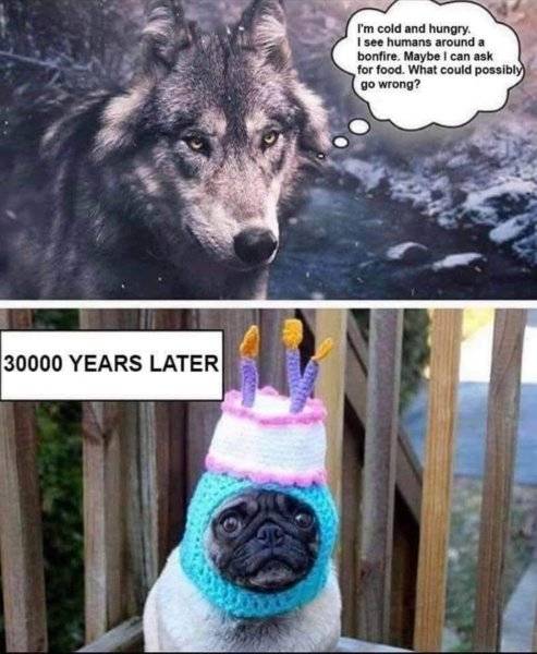 IMG_2802.jpeg