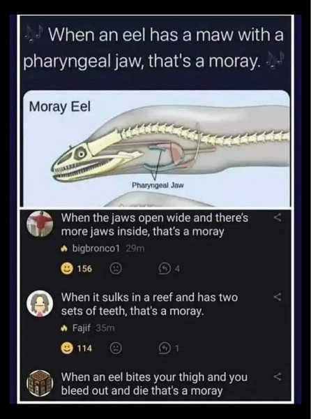IMG_2952.jpeg