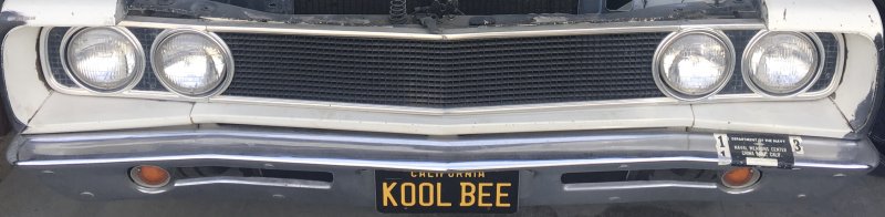 IMG_2968.jpeg