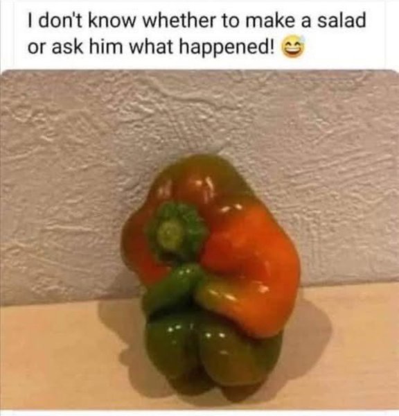 IMG_3028.jpeg
