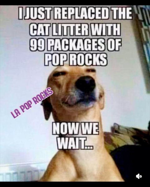 IMG_3063.jpeg