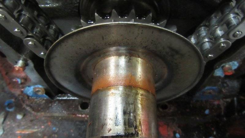 IMG_3352[1].JPG