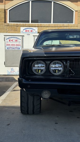 IMG_3383.jpg