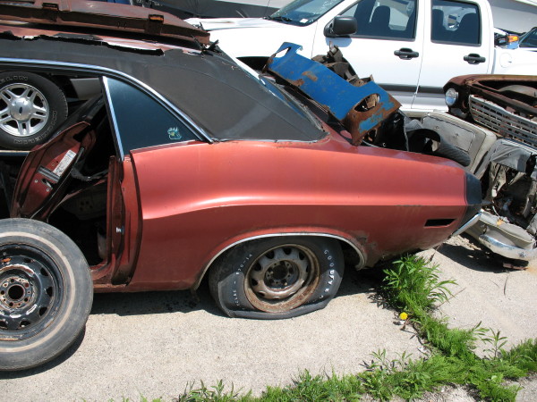 IMG_3402_1.JPG