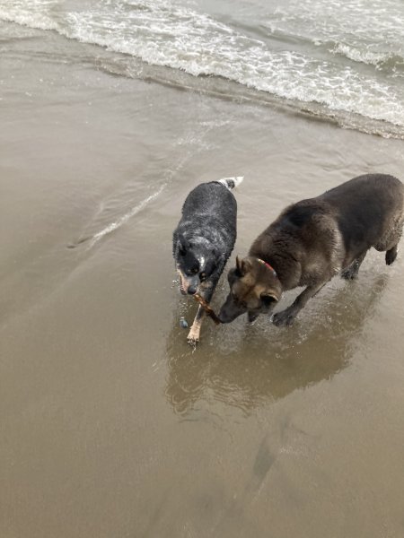 IMG_3524.jpeg