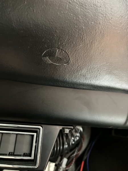 IMG_3951.jpeg