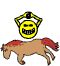IMG_4027.gif