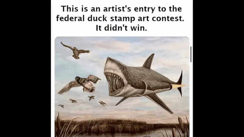 IMG_4051.png