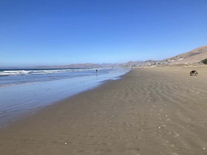 IMG_4147.jpeg