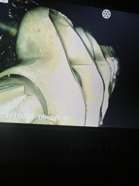IMG_4197.jpeg