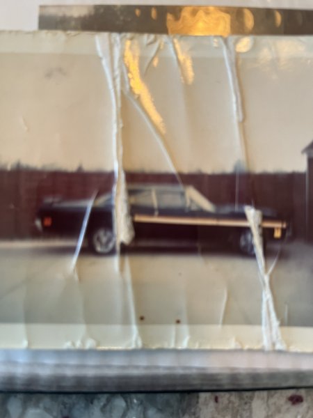 IMG_4205.jpeg