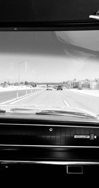 IMG_4429.jpeg