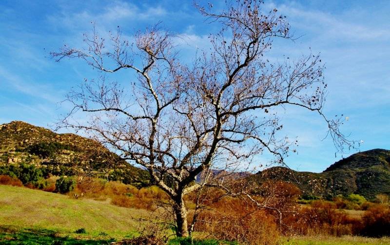 IMG_4783 (2) (1280x805).jpg