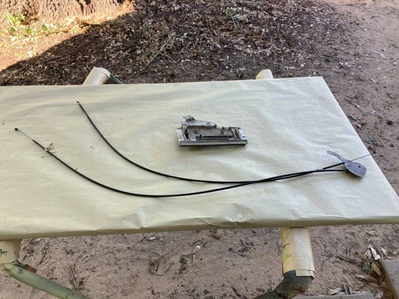 IMG_5035.jpeg IMG_5035.jpeg