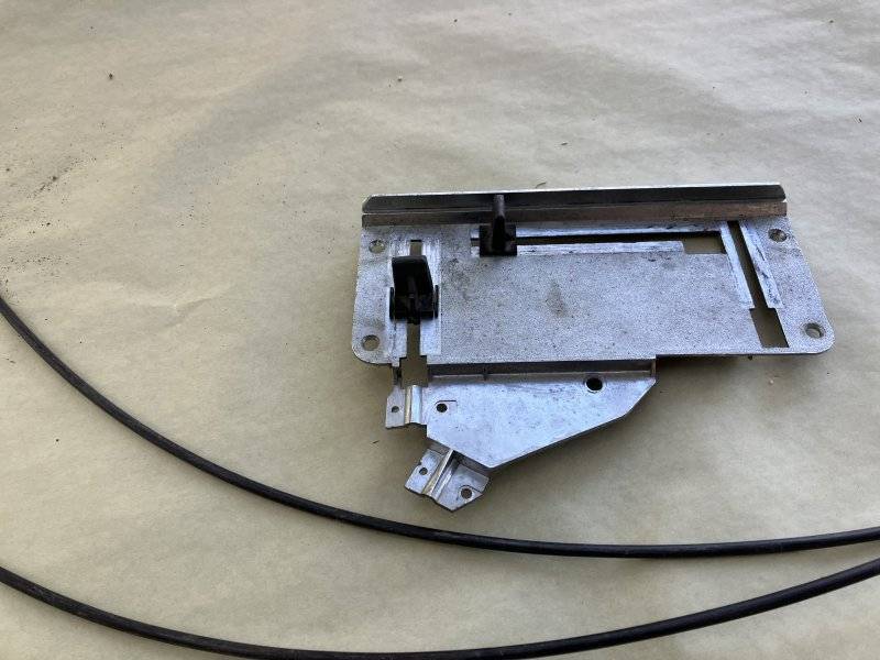 IMG_5038.jpeg IMG_5038.jpeg