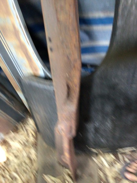IMG_5169.jpeg