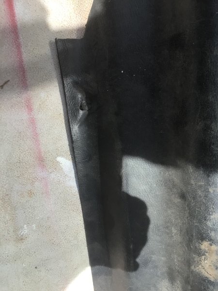IMG_6904.jpeg