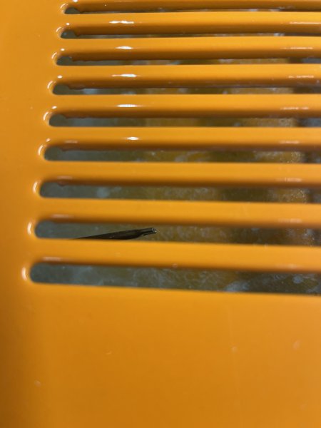 IMG_7086.jpeg