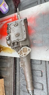IMG_7938.jpeg