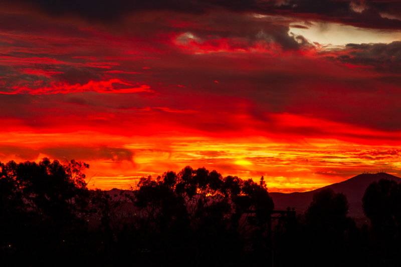 IMG_7979_edited-1 (2).jpg