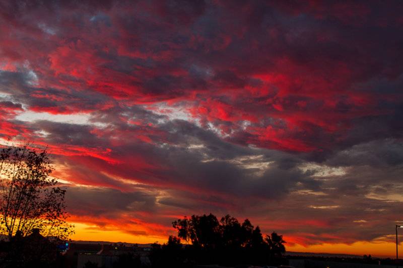 IMG_7993_edited-1 (2).jpg