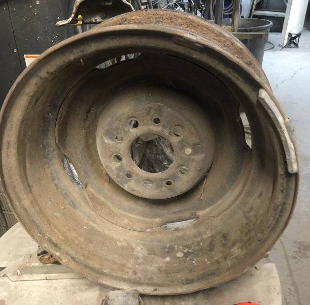 IMG_8227_1761704417219.jpg IMG_8227_1761704417219.jpg