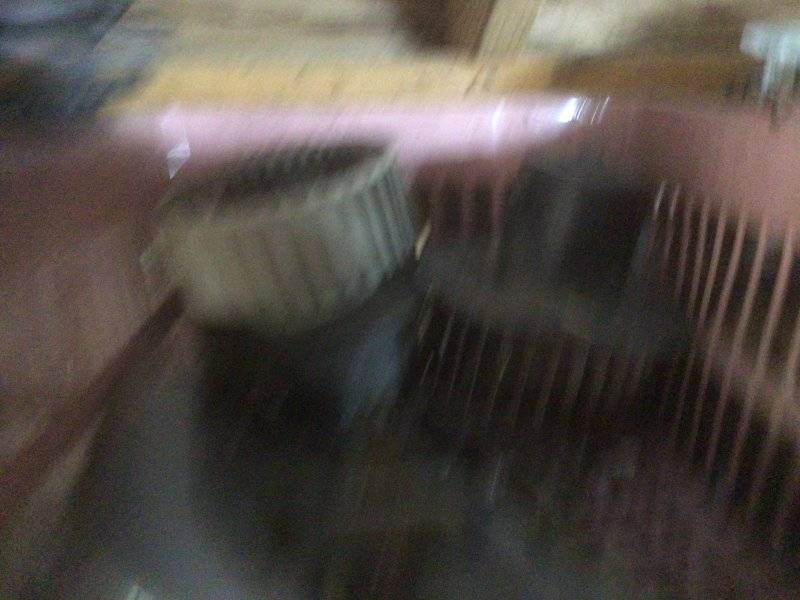 IMG_9313.jpeg