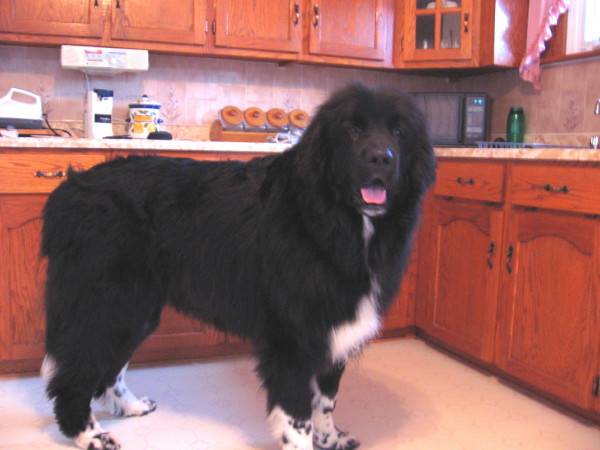 imgthunder-b-day0001-jpg.jpg